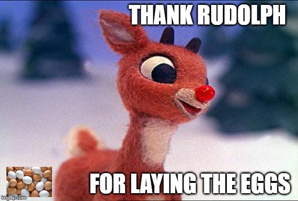 rudolph | FOR LAYING THE EGGS THANK RUDOLPH | image tagged in rudolph | made w/ Imgflip meme maker