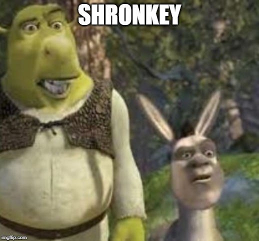shronkey | SHRONKEY | image tagged in shronkey | made w/ Imgflip meme maker