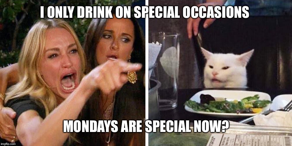 Smudge the cat | I ONLY DRINK ON SPECIAL OCCASIONS; MONDAYS ARE SPECIAL NOW? | image tagged in smudge the cat | made w/ Imgflip meme maker