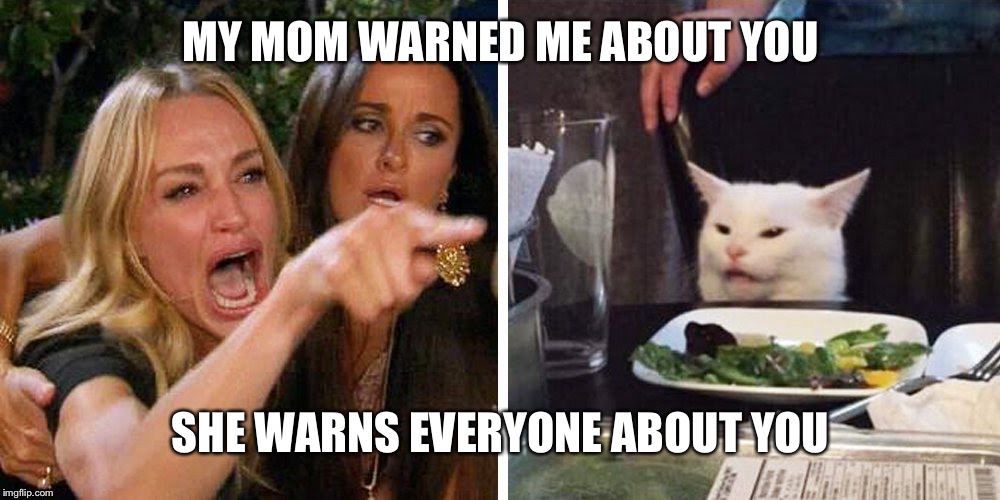 Smudge the cat | MY MOM WARNED ME ABOUT YOU; SHE WARNS EVERYONE ABOUT YOU | image tagged in smudge the cat | made w/ Imgflip meme maker