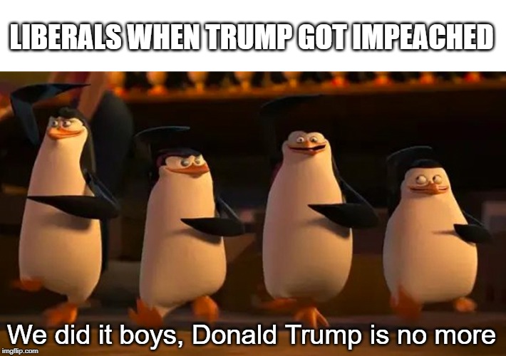 we did it boys | LIBERALS WHEN TRUMP GOT IMPEACHED; We did it boys, Donald Trump is no more | image tagged in we did it boys,memes,trump impeachment | made w/ Imgflip meme maker