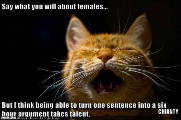 Females | CHIANTY | image tagged in talent | made w/ Imgflip meme maker
