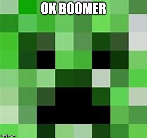 OK BOOMER | image tagged in minecraft | made w/ Imgflip meme maker