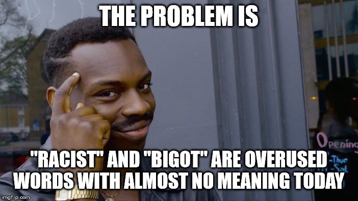 Roll Safe Think About It Meme | THE PROBLEM IS "RACIST" AND "BIGOT" ARE OVERUSED WORDS WITH ALMOST NO MEANING TODAY | image tagged in memes,roll safe think about it | made w/ Imgflip meme maker