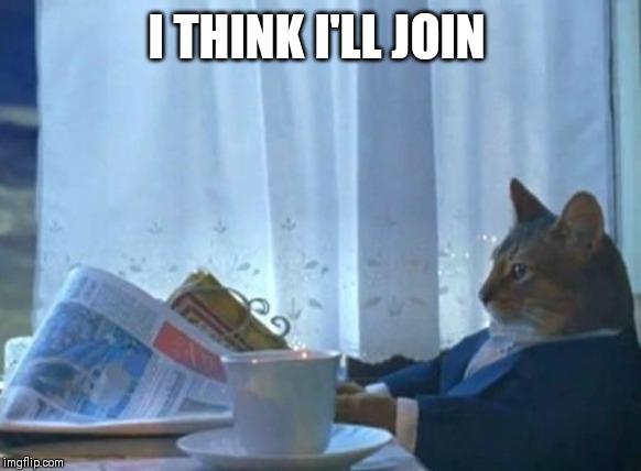 Cat newspaper | I THINK I'LL JOIN | image tagged in cat newspaper | made w/ Imgflip meme maker