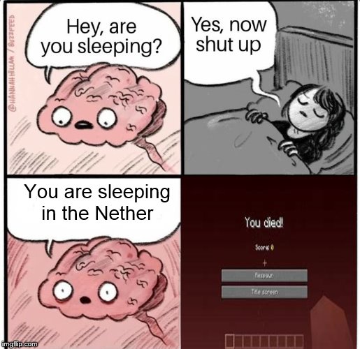 Hey are you sleeping | You are sleeping in the Nether | image tagged in hey are you sleeping | made w/ Imgflip meme maker