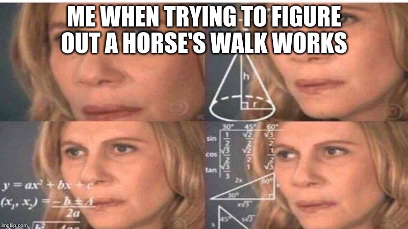 ME WHEN TRYING TO FIGURE OUT A HORSE'S WALK WORKS | image tagged in memes,confused math lady | made w/ Imgflip meme maker
