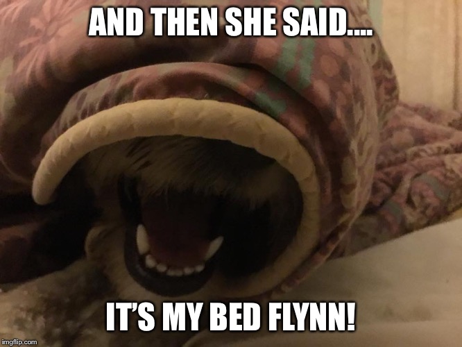 Bryonie Baxter | AND THEN SHE SAID.... IT’S MY BED FLYNN! | image tagged in bryonie baxter | made w/ Imgflip meme maker