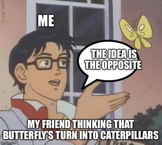 Is This A Pigeon Meme | ME; THE IDEA IS THE OPPOSITE; MY FRIEND THINKING THAT BUTTERFLY’S TURN INTO CATERPILLARS | image tagged in memes,is this a pigeon | made w/ Imgflip meme maker