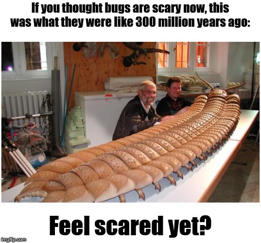 And some people scream when they see spiders. | If you thought bugs are scary now, this was what they were like 300 million years ago:; Feel scared yet? | image tagged in giant,bugs,scared | made w/ Imgflip meme maker