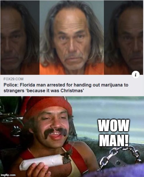 Free Green | WOW MAN! | image tagged in cheech and chong blunt | made w/ Imgflip meme maker