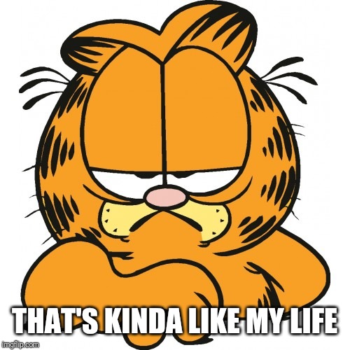 Garfield | THAT'S KINDA LIKE MY LIFE | image tagged in garfield | made w/ Imgflip meme maker