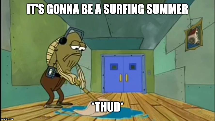 Fred Mopping | IT'S GONNA BE A SURFING SUMMER *THUD* | image tagged in fred mopping | made w/ Imgflip meme maker