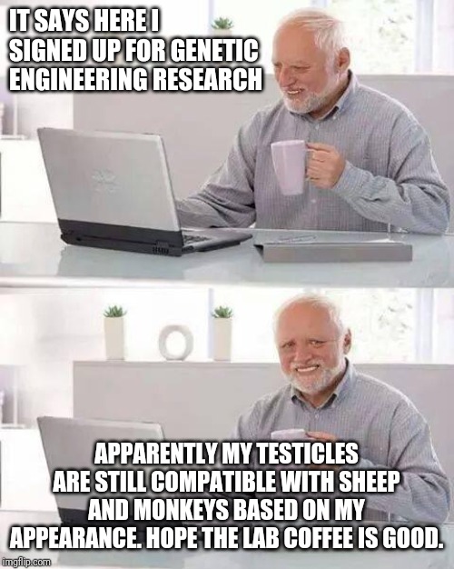 Hide the Pain Harold | IT SAYS HERE I SIGNED UP FOR GENETIC ENGINEERING RESEARCH; APPARENTLY MY TESTICLES ARE STILL COMPATIBLE WITH SHEEP AND MONKEYS BASED ON MY APPEARANCE. HOPE THE LAB COFFEE IS GOOD. | image tagged in memes,hide the pain harold | made w/ Imgflip meme maker