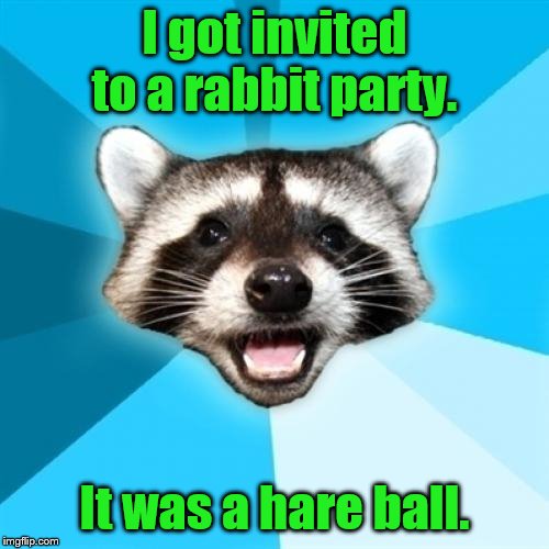 Lame Pun Coon | I got invited to a rabbit party. It was a hare ball. | image tagged in memes,lame pun coon | made w/ Imgflip meme maker