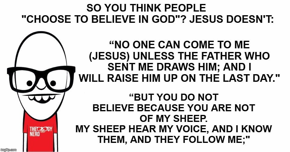 Theology Nerd  | SO YOU THINK PEOPLE 
"CHOOSE TO BELIEVE IN GOD"? JESUS DOESN'T: “BUT YOU DO NOT BELIEVE BECAUSE YOU ARE NOT OF MY SHEEP.
MY SHEEP HEAR MY VO | image tagged in theology nerd | made w/ Imgflip meme maker