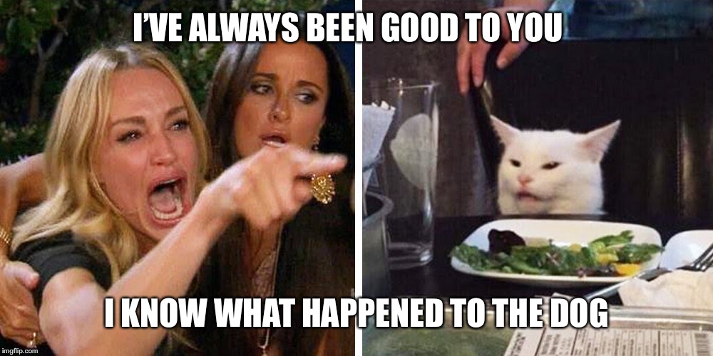 Smudge the cat | I’VE ALWAYS BEEN GOOD TO YOU; I KNOW WHAT HAPPENED TO THE DOG | image tagged in smudge the cat | made w/ Imgflip meme maker