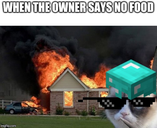 WHEN THE OWNER SAYS NO FOOD | image tagged in memes,burn kitty | made w/ Imgflip meme maker