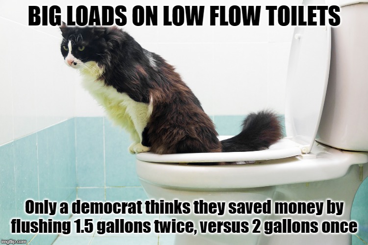 The absurdity of "1-size fits all" low flow toilets | BIG LOADS ON LOW FLOW TOILETS; Only a democrat thinks they saved money by flushing 1.5 gallons twice, versus 2 gallons once | image tagged in toilets,democrats | made w/ Imgflip meme maker