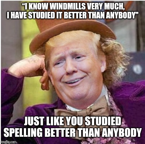 Wonka Trump | “I KNOW WINDMILLS VERY MUCH, I HAVE STUDIED IT BETTER THAN ANYBODY"; JUST LIKE YOU STUDIED SPELLING BETTER THAN ANYBODY | image tagged in wonka trump | made w/ Imgflip meme maker