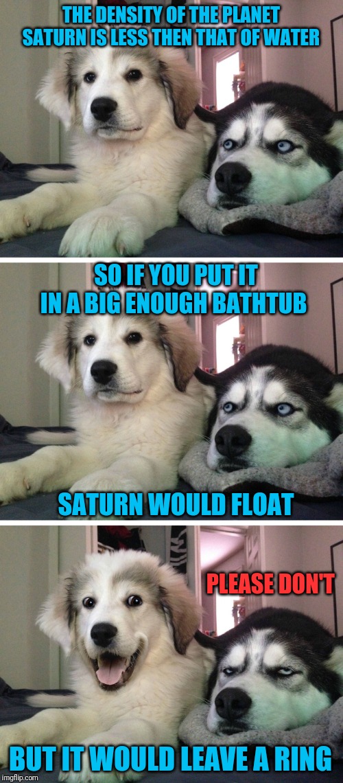 Science Teacher's Dad Joke | THE DENSITY OF THE PLANET SATURN IS LESS THEN THAT OF WATER; SO IF YOU PUT IT IN A BIG ENOUGH BATHTUB; SATURN WOULD FLOAT; PLEASE DON'T; BUT IT WOULD LEAVE A RING | image tagged in bad pun dogs,bad pun dog | made w/ Imgflip meme maker
