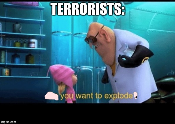 Do you want to explode | TERRORISTS: | image tagged in do you want to explode | made w/ Imgflip meme maker