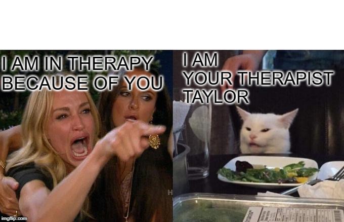 Woman Yelling At Cat Meme | I AM YOUR THERAPIST TAYLOR; I AM IN THERAPY BECAUSE OF YOU | image tagged in memes,woman yelling at cat,funny,fun,funny memes | made w/ Imgflip meme maker