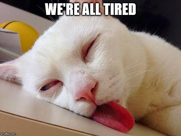 Sleeping cat | WE'RE ALL TIRED | image tagged in sleeping cat | made w/ Imgflip meme maker