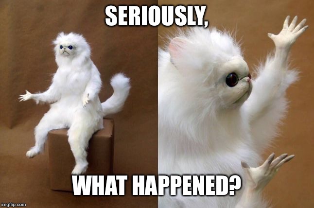 confused monkey | SERIOUSLY, WHAT HAPPENED? | image tagged in confused monkey | made w/ Imgflip meme maker