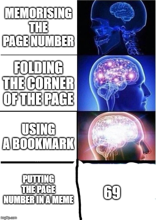 Expanding Brain Meme | MEMORISING THE PAGE NUMBER; FOLDING THE CORNER OF THE PAGE; USING A BOOKMARK; PUTTING THE PAGE NUMBER IN A MEME; 69 | image tagged in memes,expanding brain | made w/ Imgflip meme maker
