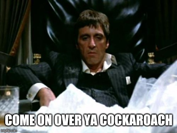 Scarface Cocaine | COME ON OVER YA COCKAROACH | image tagged in scarface cocaine | made w/ Imgflip meme maker