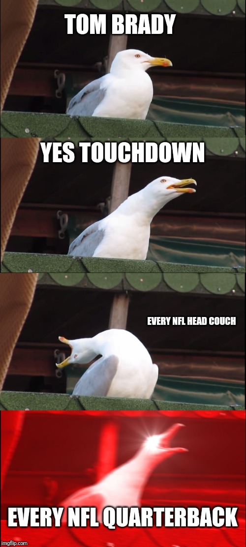 Inhaling Seagull | TOM BRADY; YES TOUCHDOWN; EVERY NFL HEAD COUCH; EVERY NFL QUARTERBACK | image tagged in memes,inhaling seagull | made w/ Imgflip meme maker