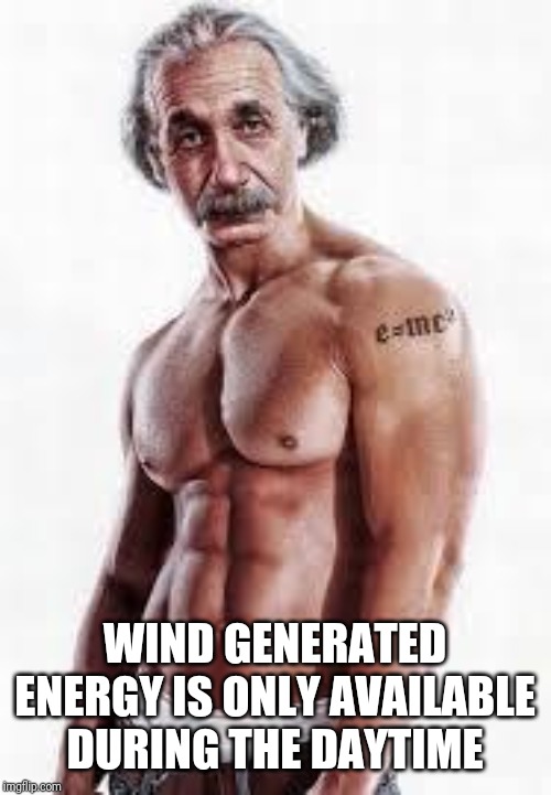 Buff Einstein | WIND GENERATED ENERGY IS ONLY AVAILABLE DURING THE DAYTIME | image tagged in buff einstein | made w/ Imgflip meme maker