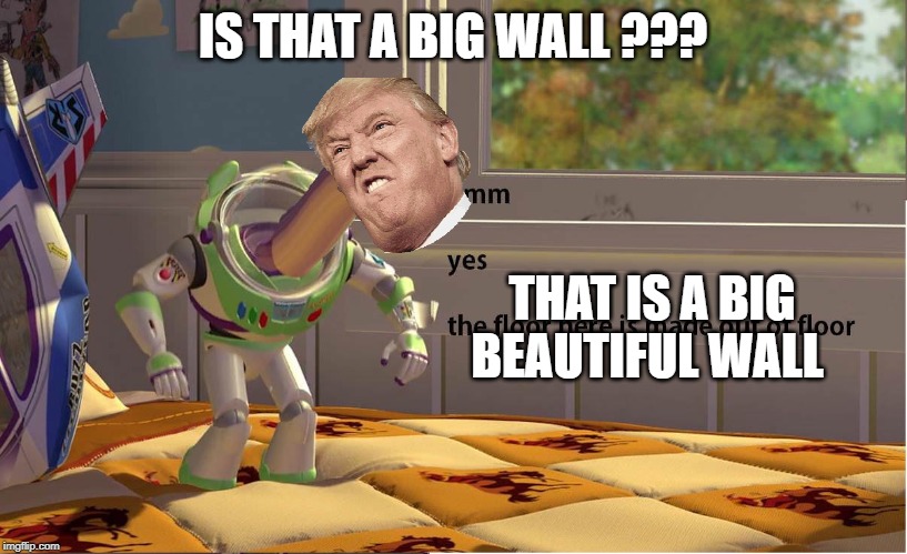 Buzz Lightyear Hmm yes | IS THAT A BIG WALL ??? THAT IS A BIG BEAUTIFUL WALL | image tagged in buzz lightyear hmm yes | made w/ Imgflip meme maker