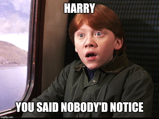 Ron Weasly | HARRY YOU SAID NOBODY'D NOTICE | image tagged in ron weasly | made w/ Imgflip meme maker
