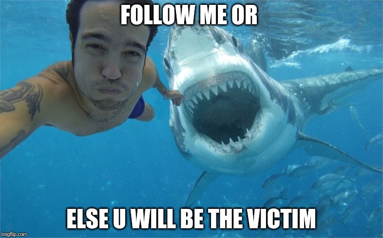 shark attack | FOLLOW ME OR; ELSE U WILL BE THE VICTIM | image tagged in shark attack | made w/ Imgflip meme maker