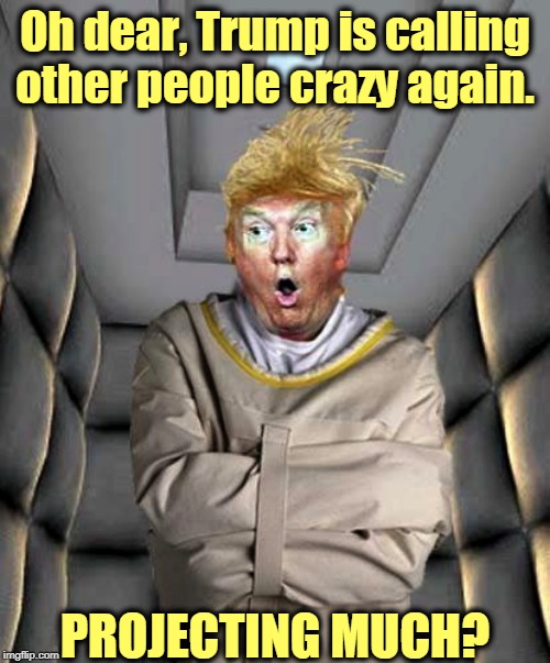 President Nutzoid ranting again. | Oh dear, Trump is calling other people crazy again. PROJECTING MUCH? | image tagged in trump crazy loony nuts insane psychotic pathological,trump,crazy,projection | made w/ Imgflip meme maker