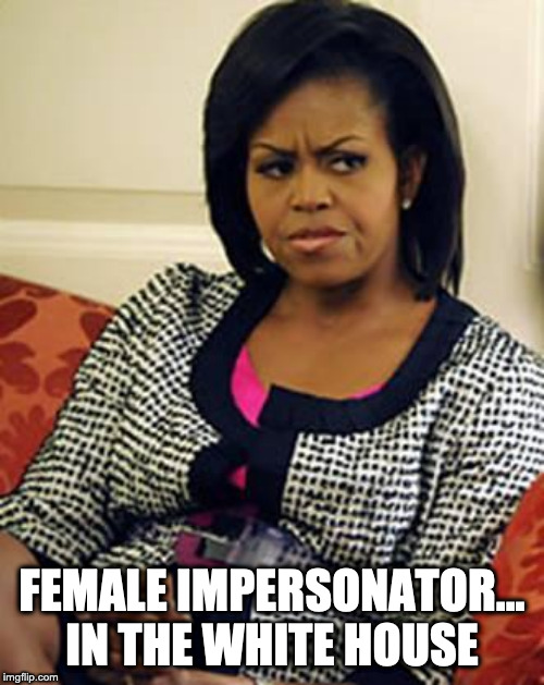 Michelle Obama is not pleased | FEMALE IMPERSONATOR... IN THE WHITE HOUSE | image tagged in michelle obama,female impersonator | made w/ Imgflip meme maker