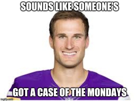 SOUNDS LIKE SOMEONE'S; GOT A CASE OF THE MONDAYS | image tagged in football,nfl,vikings | made w/ Imgflip meme maker