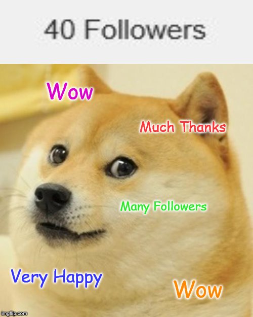 Yaaaass, thanks, hoomans! | Wow; Much Thanks; Many Followers; Very Happy; Wow | image tagged in memes,doge,happy | made w/ Imgflip meme maker