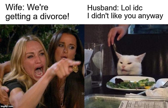 The truth hurts... | Wife: We're getting a divorce! Husband: Lol idc I didn't like you anyway | image tagged in memes,woman yelling at cat,relateable,divorce,me irl | made w/ Imgflip meme maker