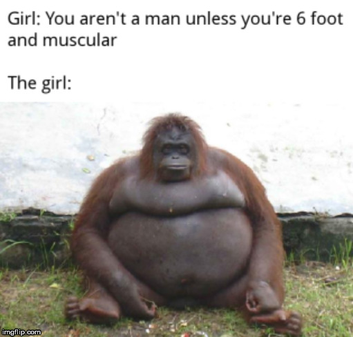 not a man | image tagged in memes,funny | made w/ Imgflip meme maker