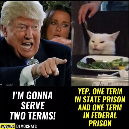 Impeached Idiot | image tagged in political meme,trump impeachment,memes,impeachment | made w/ Imgflip meme maker