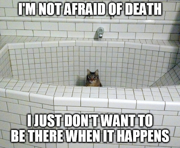 Nihilist Empty Bath Cat | I'M NOT AFRAID OF DEATH; I JUST DON'T WANT TO BE THERE WHEN IT HAPPENS | image tagged in nihilist empty bath cat | made w/ Imgflip meme maker