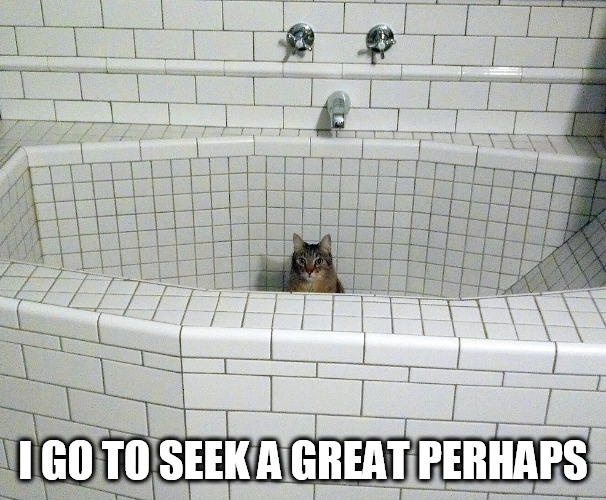 Nihilist Empty Bath Cat | I GO TO SEEK A GREAT PERHAPS | image tagged in nihilist empty bath cat | made w/ Imgflip meme maker