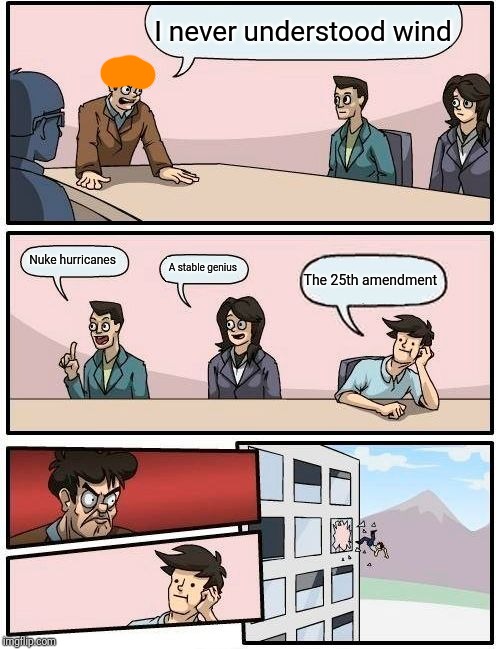 Boardroom Meeting Suggestion | I never understood wind; Nuke hurricanes; A stable genius; The 25th amendment | image tagged in memes,boardroom meeting suggestion | made w/ Imgflip meme maker