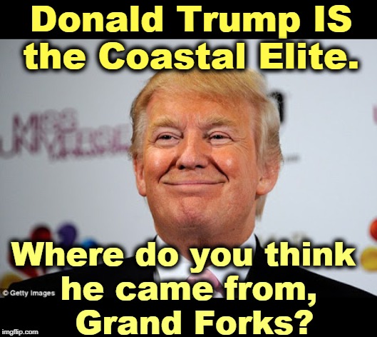 Sioux City? Chillicothe?Decatur? Bisbee? | Donald Trump IS the Coastal Elite. Where do you think 
he came from,
 Grand Forks? | image tagged in donald trump approves,trump,new york city,coastal elite,rich,millionaire | made w/ Imgflip meme maker