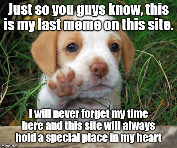 dog puppy bye | Just so you guys know, this is my last meme on this site. I will never forget my time here and this site will always hold a special place in my heart | image tagged in dog puppy bye | made w/ Imgflip meme maker