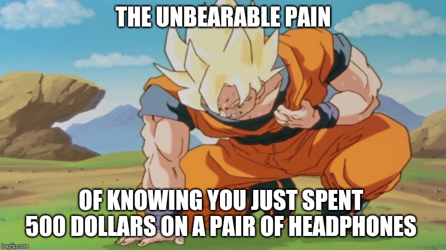 Goku heart virus attack |  THE UNBEARABLE PAIN; OF KNOWING YOU JUST SPENT 500 DOLLARS ON A PAIR OF HEADPHONES | image tagged in goku | made w/ Imgflip meme maker