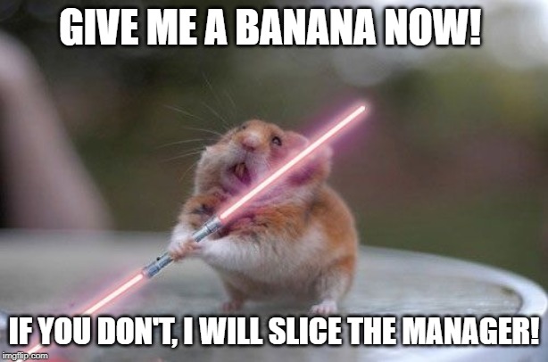 Star Wars hamster | GIVE ME A BANANA NOW! IF YOU DON'T, I WILL SLICE THE MANAGER! | image tagged in star wars hamster | made w/ Imgflip meme maker